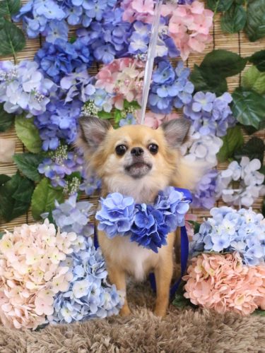 20250629れおくん